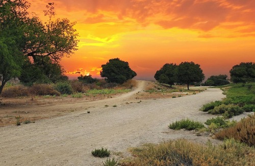 Las Flores Apartment | Relax in OC! attached to scenic walking trail & shops close by