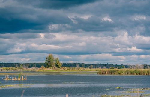 Montague Apartment | Relax on White Lake at Peninsula Point