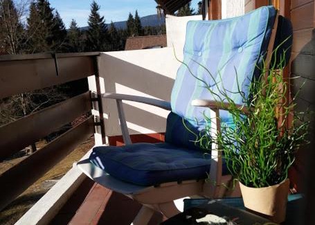 Gallio Apartment | Relax sull'Altopiano di Asiago
