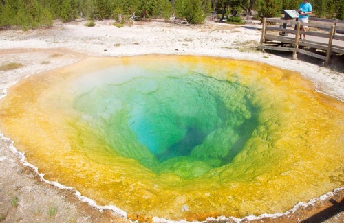 Cody House | Relax & Unwind! On-site Pool and Restaurant, Close to Shoshone National Forest!