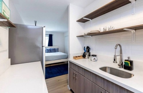 Waikiki Apartment | Relaxed Waikiki Living | Walk to Beach | W/D & AC