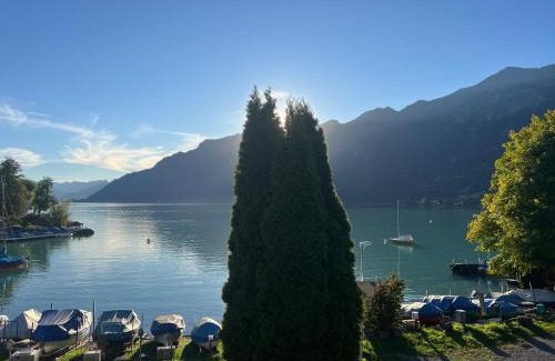 Brienz Apartment | Relaxen am Brienzersee mit Terrassen und Grill