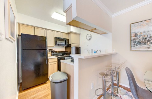 Astrodome Apartment | Relaxing 1BD | MED Center | NRG | Downtown Apartment