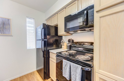 Astrodome Apartment | Relaxing 1BD | MED Center | NRG | Downtown Apartment