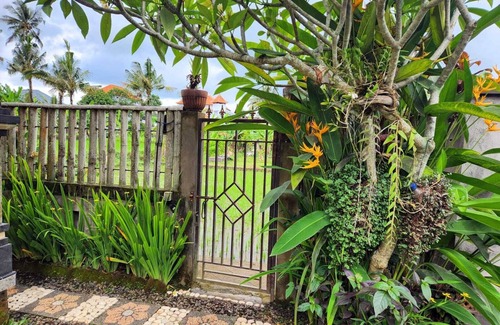 Pejeng Kawan Villa | Relaxing 2 Bedroom Villa With Private Pool In A Quiet Countryside Setting
