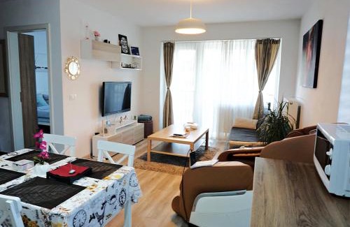 Tractorul Apartment | Relaxing Coresi Studio