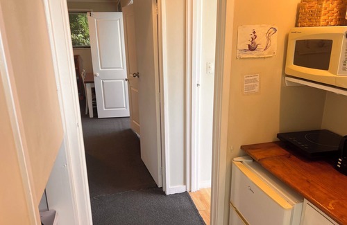 Remuera Apartment | Relaxing Getaway, Close to Hospital & Amenities - Rabbit Cuddles Included!