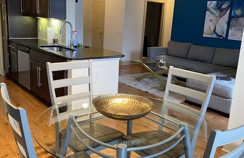 Astrodome Apartment | Relaxing home near Med Center/NRG