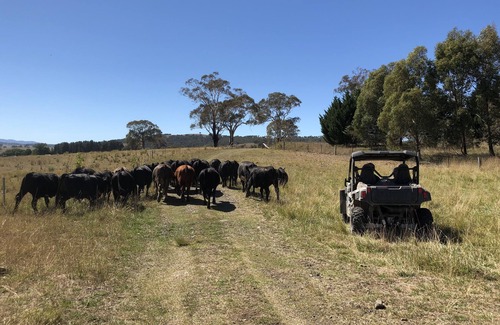 Wollomombi House | Relaxing Peaceful well equipped Farm stay