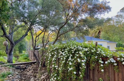 Ojai Apartment | Relaxing Private Studio in an Ojai Cottage with your own outdoor space.