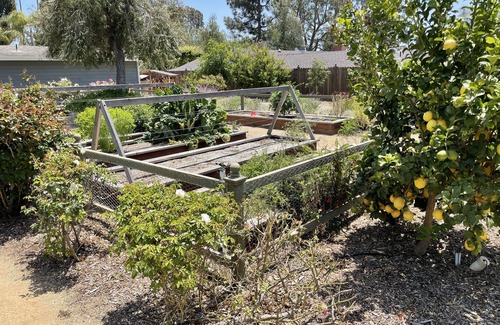 Camarillo House | Relaxing Ranch Style House with Garden and Orchard