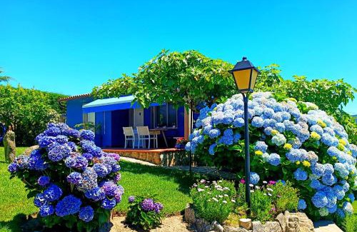 Cobres House | REMANSO AZUL
