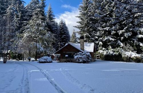 Villa La Angostura House | Remanso del Bosque - Los Teros Cabin