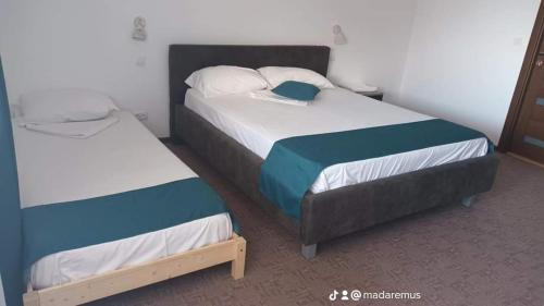 Sulina House | REMINA