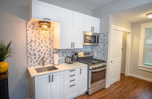 Mahncke Park Apartment | Remodeled Modern 1BR/1BA Apt2 Near Dtwn 5min Pearl