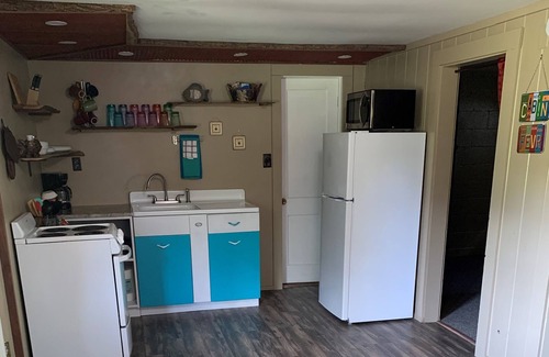 Oakland Cabin | Remote Get Away! - Renovated 3 Bedroom Cabin on Bull Shoals Lake.