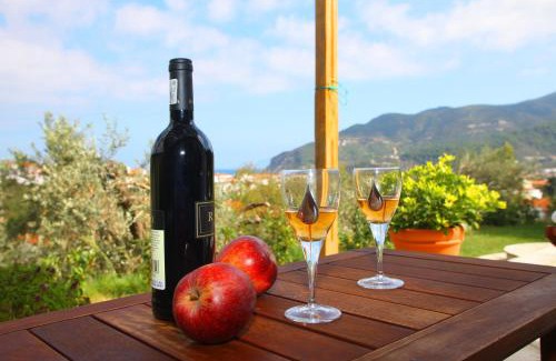 Skopelos Apartment | Remvi Apartments