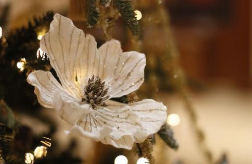 Begovoy Hotel | Renaissance Moscow Monarch Centre Hotel