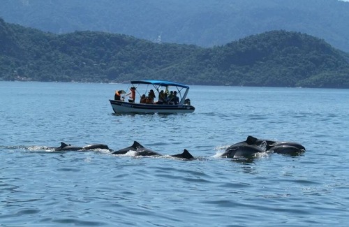 Mangaratiba Apartment | Renascer Pousada Praia NA RUA DA Pousada Perto DAS Barcas PRA Ilha Grande