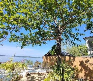 Calape Resort | Rene's Diverslounge Resort