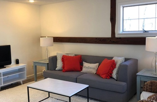 Madison Apartment | Renovated 1 bedroom Cozy Apt-Madison