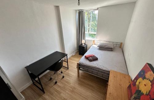 Stepney Green House | Renovu Houses in East London