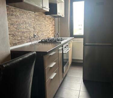 Barlad Apartment | Rent Apartments Barlad