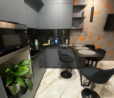 Dniprovs'kyi District Apartment | Rent-Kiev metro Chernigivska ViP