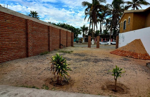 Puerto San Carlos Apartment | Rent per day, per week, (with special rates for rentals per month or year).