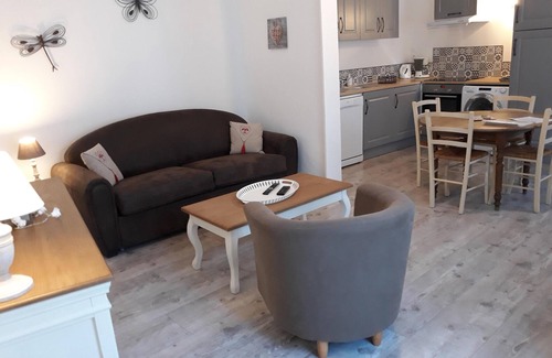 Selles-sur-Cher House | RENTAL BALNEO DUO NE ZOO BEAUVAL Saint-Aignan-sur-Cher and CASTLES