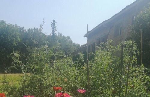 Sarrians Cottage | Rental & Gîte