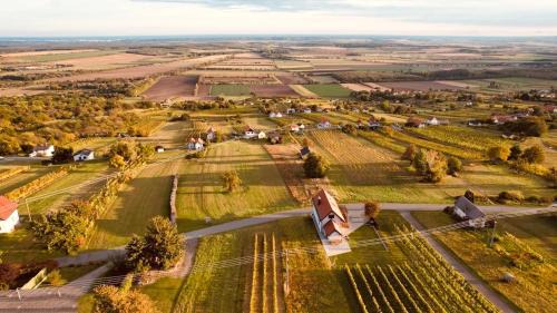 Rechnitz House | REnthouse - Ferienhaus am Weinberg
