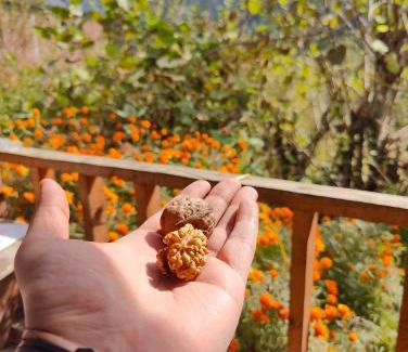 Kasol House | Renuka homestay and cafe