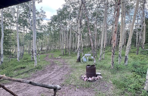 Canon City Cabin | Reserve now for the Aspen Grove leaf change in October!