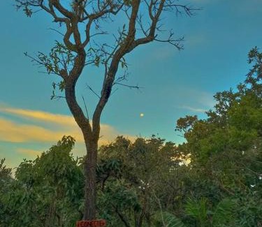 Sao Jorge House | Residência Sol e Lar