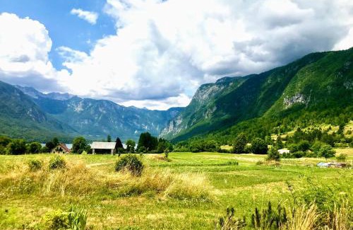 Studor Apartment | Residence Aurora, Bohinj