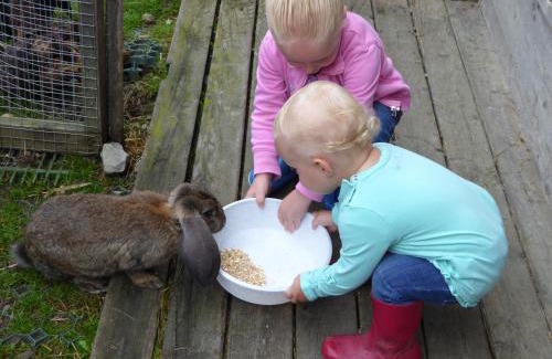 Prateria Apartment | Residence Bannwald