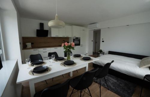 Bezigrad District Apartment | Residence Black&White