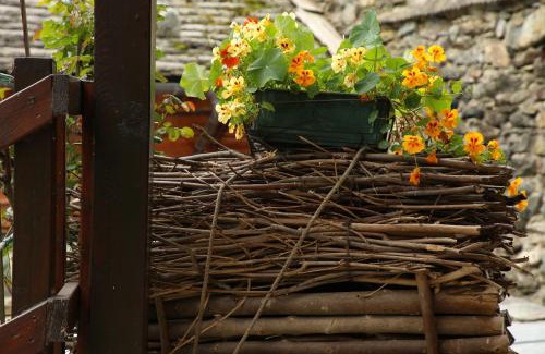 Alagna Valsesia Apartment | Residence Casa dei Fiori