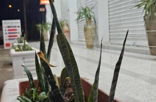 Tataouine Apartment | Residence Dehmani - Apartment