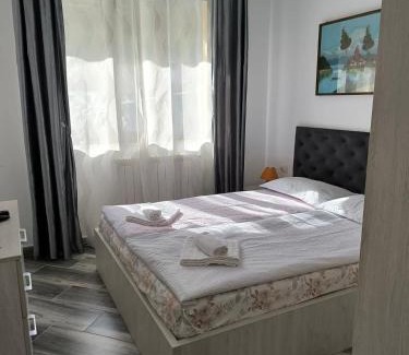 Valiug Apartment | Residence EOS