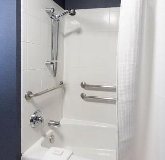 Southwest Federal Center Hotel | Residence Inn by Marriott Washington, DC National Mall