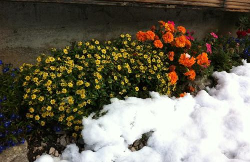 Mareo Apartment | Residence Villa Toni