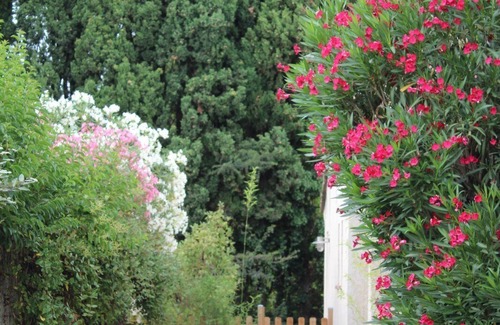 Salon-de-Provence Apartment | Residence Villa Glanum*2025 in Provence “Lovely Provence” “Wunderbar Wohnung”