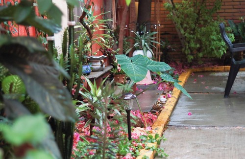 Calzada Madero House | Residencia en la ciudad de Oaxaca