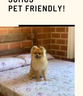 Praia de Una Apartment | Residencial Varandas de Setiba