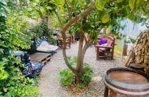 Pichilemu House | Residencial y hostal Traveland