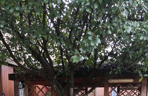 Pontegradella House | residential area villa