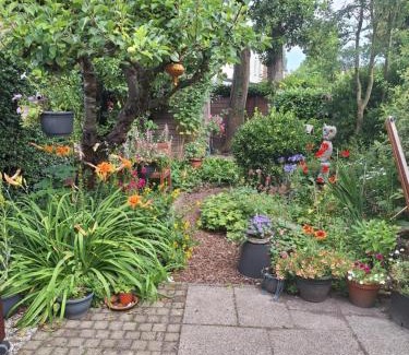 Overschie House | Residentie Blijdorp