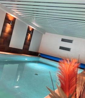 Ernst Apartment | Residenz Moselzauber - Ferienwohnungen mit Pool Landschaft